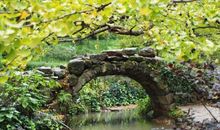 小桥流水人家_500字