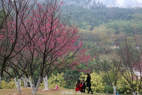 每个人都毛毛雨_200字