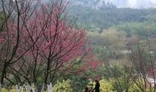 毛毛细雨中的大家_200字