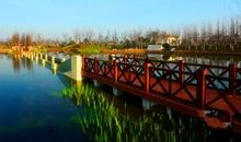 游蔷薇湿地公园_750字