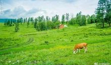 第二十七章-奥德修斯叙述他的漂流故事