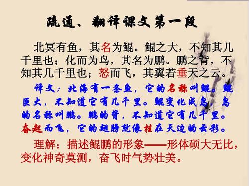 逍遥名望和财富_150字