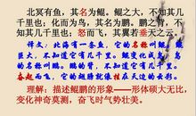 逍遥游——名与利_150字