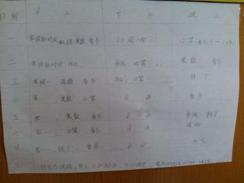 我的寒假计划_550字