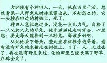 《守株待兔》续_250字