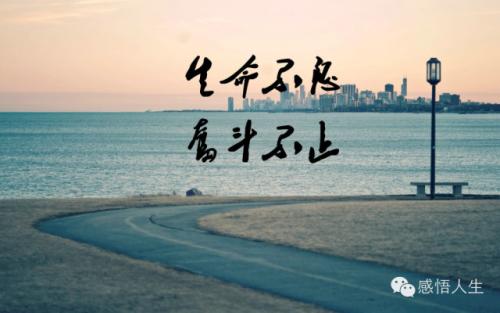 生活态度_700字