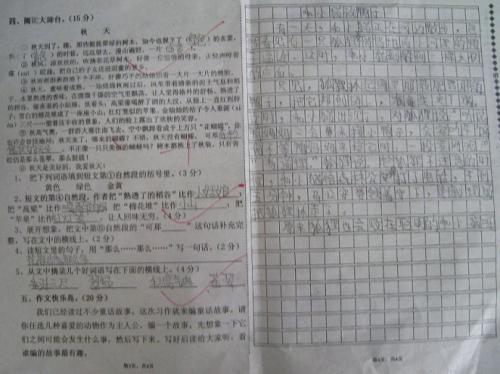 我的期末考试总结-上学期五年级_650字