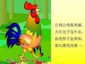 我与鸡肉的故事