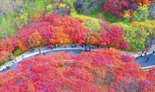 写景作文：悠悠红叶谷_600字