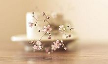 等待——放弃_900字