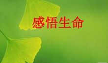 生命的重要_400字