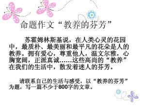 800个关于教育主题的作文