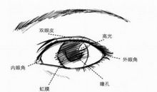 我好想当一名小说家_450字
