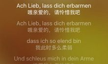 今天天真冷_200字