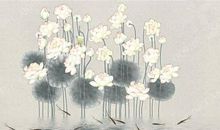 水滴中的坚强_350字