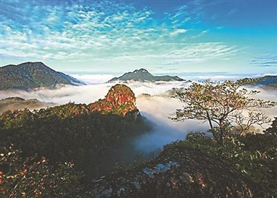 我为家乡说话的实践经验