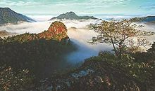 我为家乡代言之实践心得