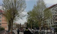 今天风真大_350字