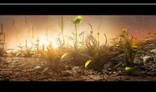 生命是万物的起源_450字