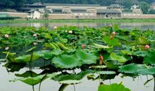 娄底旅游_2000字