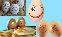 有趣的鸡蛋