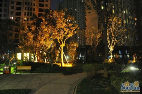 社区夜景_900字