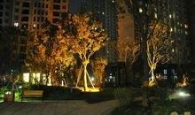 小区的夜景_900字