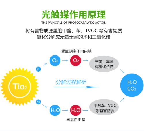 环保常识：去除甲醛的最有效方法