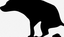 走“狗屎运”_650字