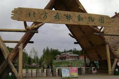 前往森林动物园500字