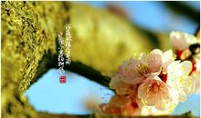 [春天来了]春雨_1200字