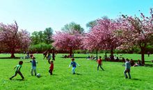 [春天来了]春天，毕竟是春天_700字