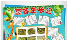 豆芽成长记