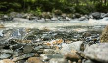 [春天来了]是不是迟春_1200字