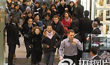 狐狸维持的秩序