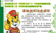 走进森林想象作文