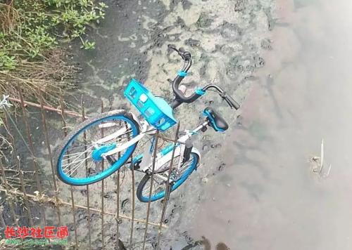 一个人被扔进河里