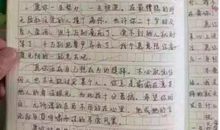 初二写人作文：向日葵的双人世界_1200字