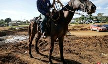 猎人和骑马的人