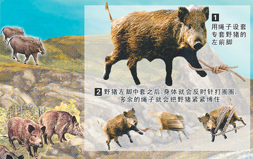 野猪，马和猎人