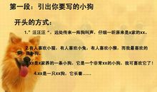 我的小动物_700字