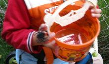 这周收获真不少_550字