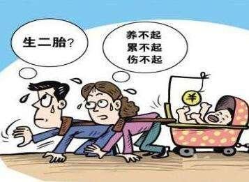 第二胎政策