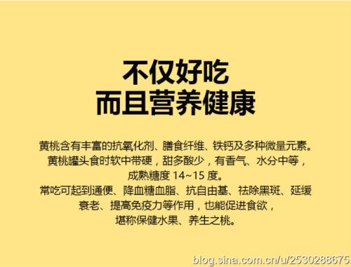 关于品味的构成：童年的品味_1200字