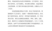 关于坚强的排比句