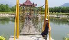 天生林艺园游记_3000字