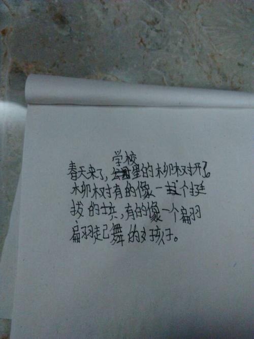 竞赛中的平行句子
