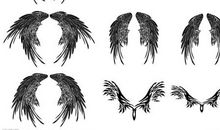 我的“左半边翅膀”_900字