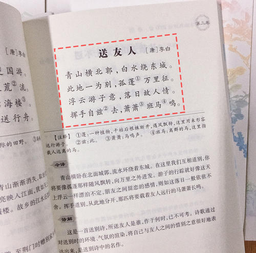 关于中国诗歌大会的思考