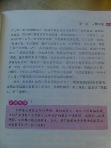 母爱_350字